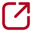 egv icon extern link
