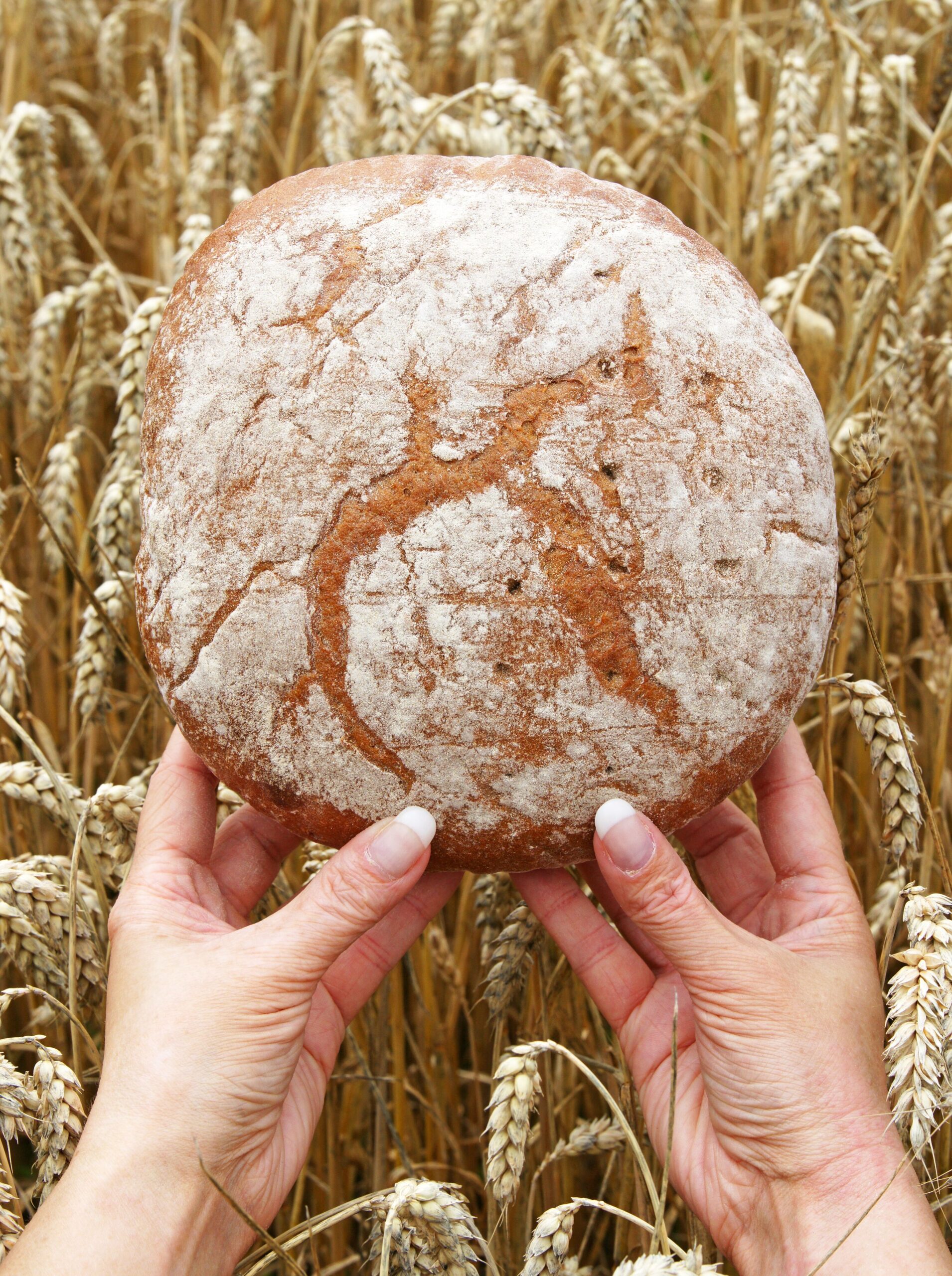 Aktion Minibrot, Brötchen, Brot, Erntedank,